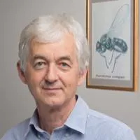 Portrait of Péter Somogyi